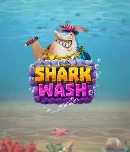 Погрузитесь в веселым подводным приключением с Shark Wash от Relax Gaming, выделяющим светлую графику морских существ, получающих чистку. Откройте для себя развлечению, когда акулы и другие морские животные испытывают брызговой чисткой, предлагая развлекательные бонусы вроде бесплатных вращений, вайлдов и специальных бонусов. Идеально подходит для игроков, испытывающих радостного игрового опыта с уникальной тематикой.